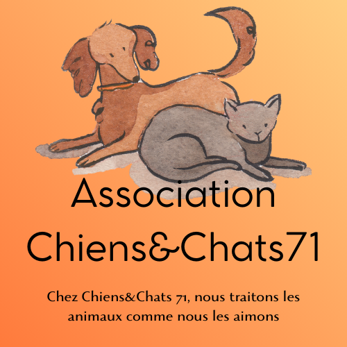 Association Chiens&Chats71